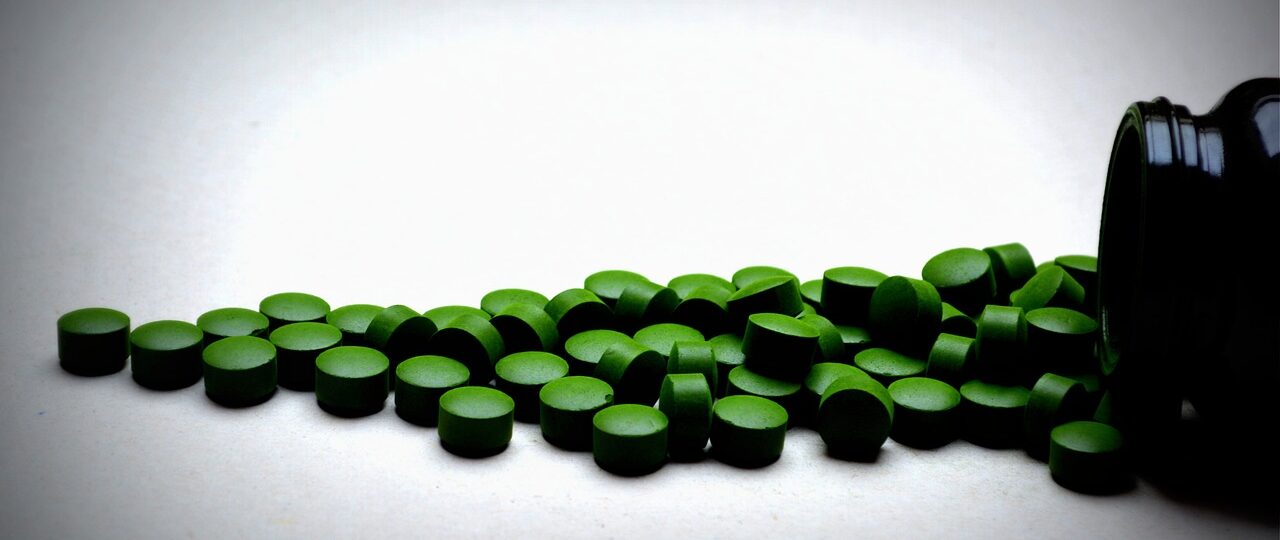 Chlorella